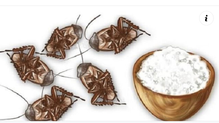 Remedio para moscas y mosquitos