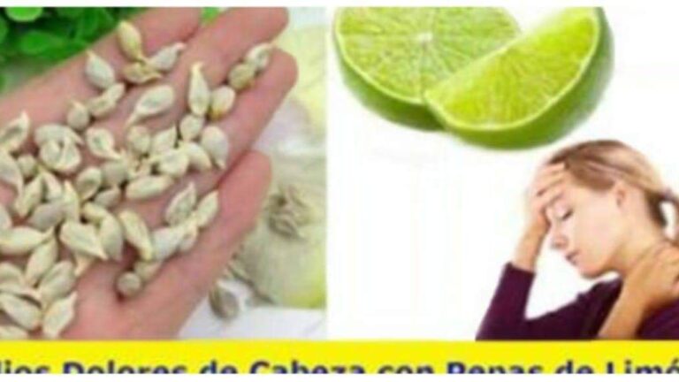Sabías que el DOLOR DE CABEZA y la MIGRAÑA se alivia con semillas de limón